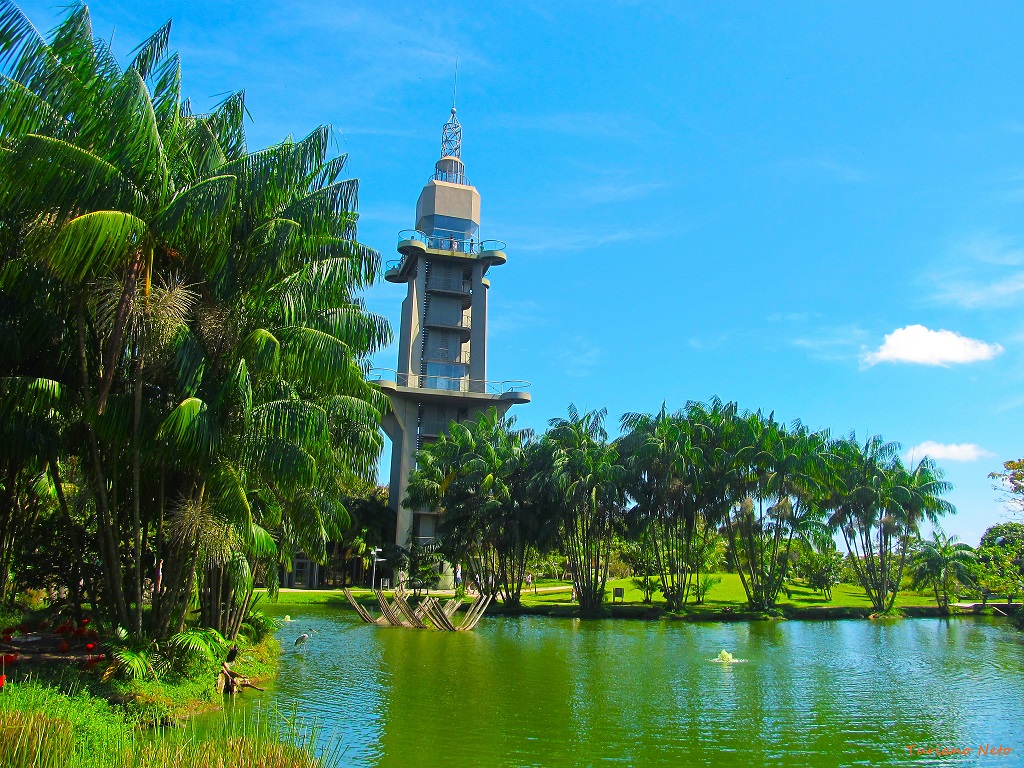 Mangal das Garças as melhores atrações de belém