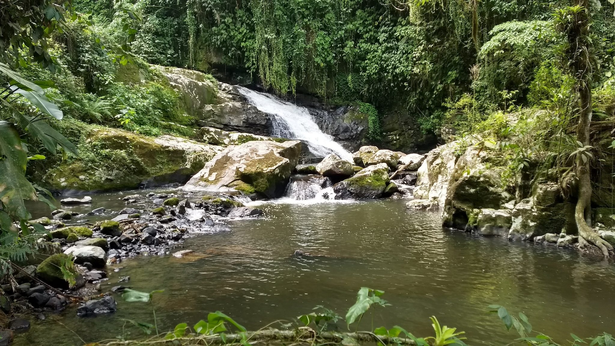 Rota das Cachoeiras em Corupá