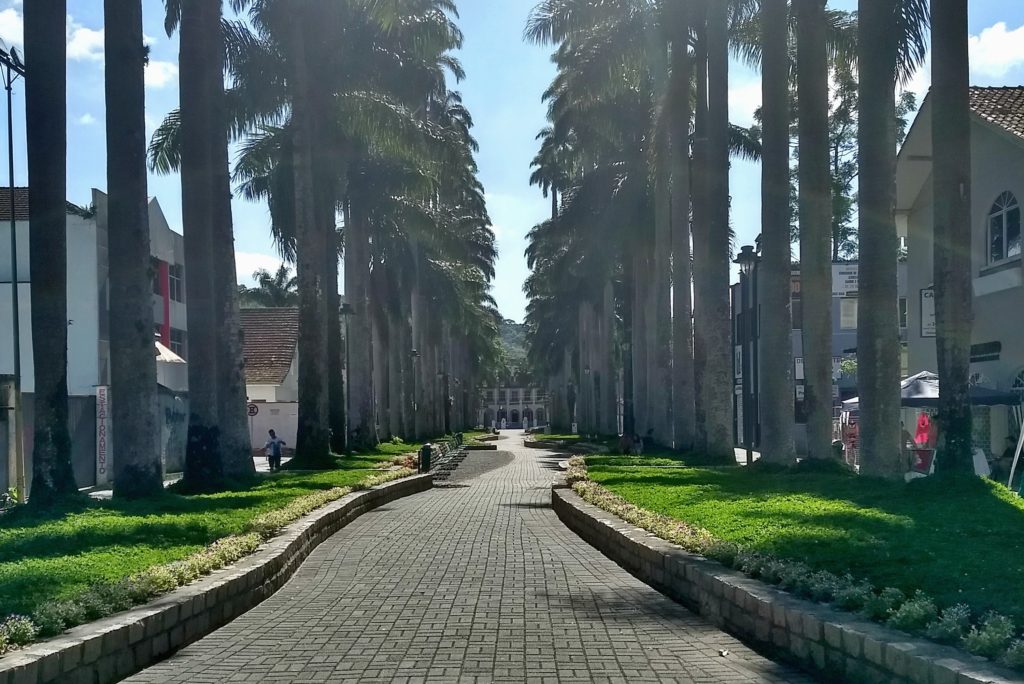 Rua Palmeiras, o que fazer em Joinville