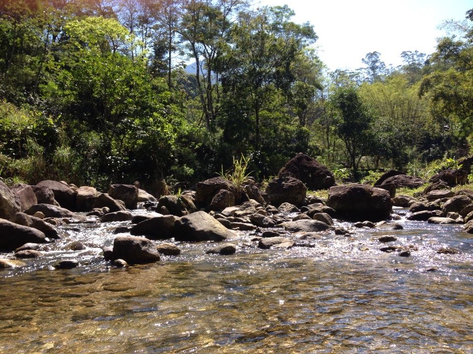 Trilha para a Cachoeira das Andorinhas - Aldeia Velha - Silva Jardim