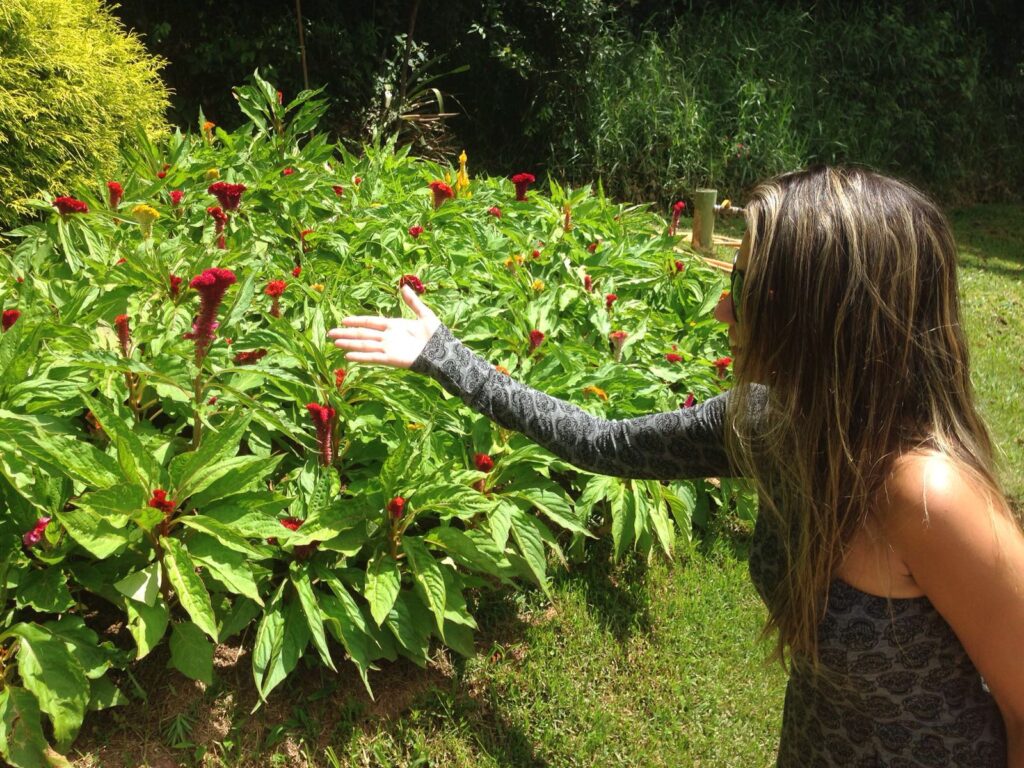 Jardim dos Pinhais Ecco Parque