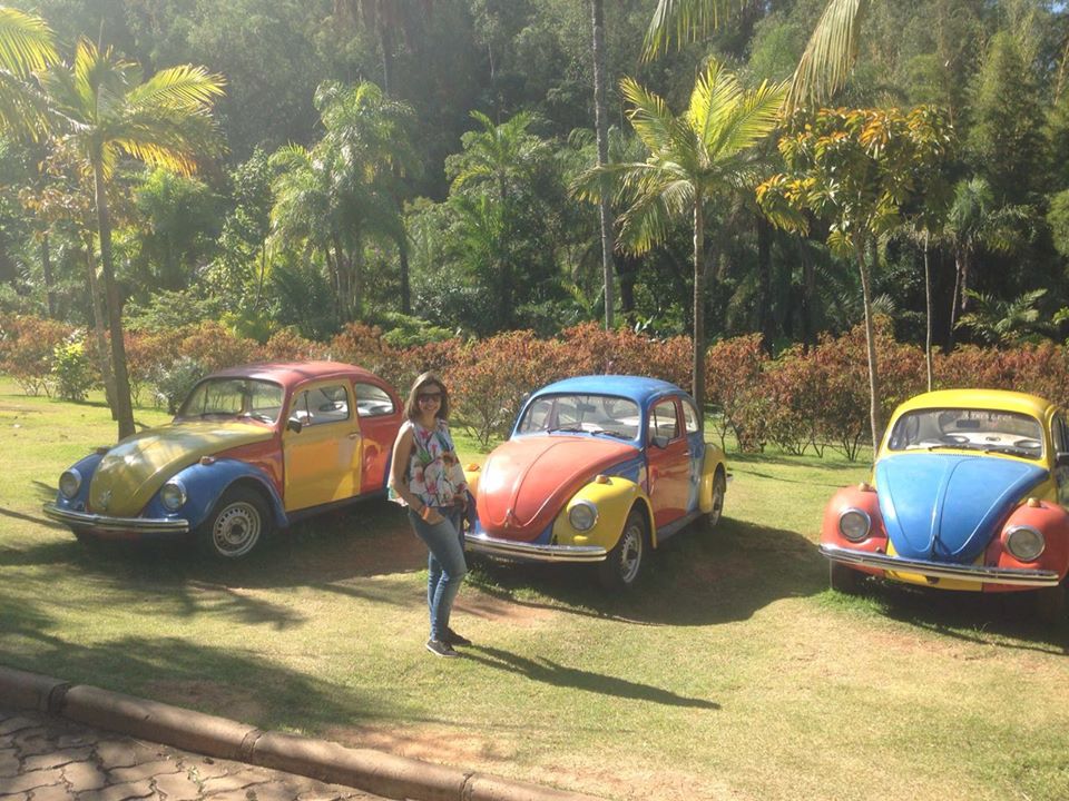 Os fusquinhas de Jarbas Lopes no Museu do Inhotim