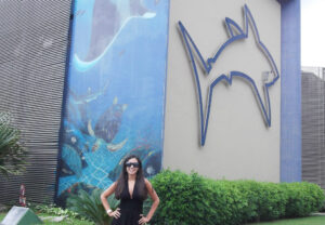 o que fazer em santos em 1 dia