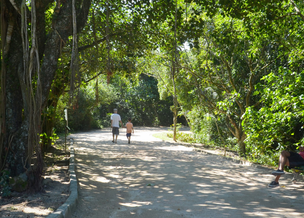 bosque da barra