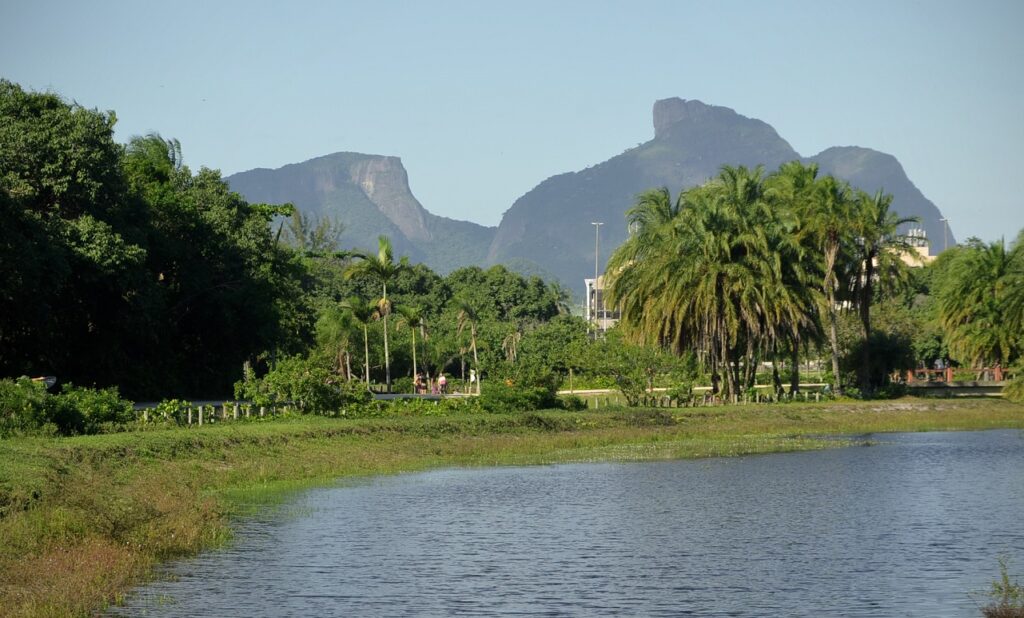 Lago no Bosque da Barra