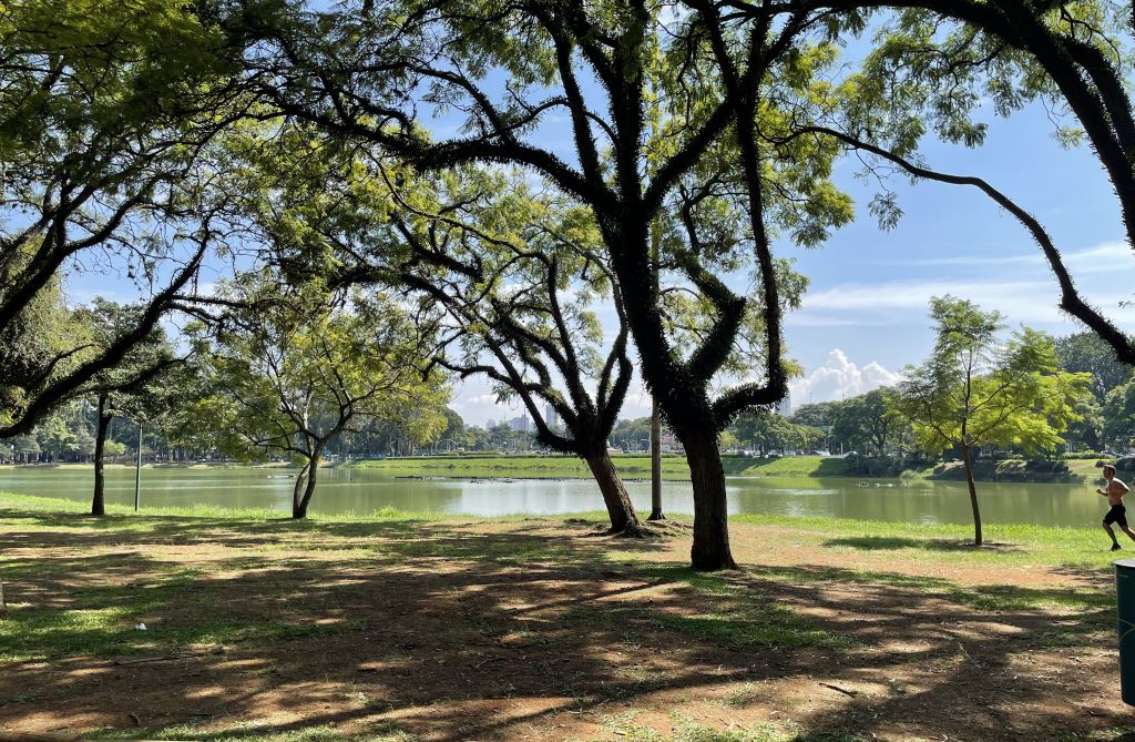 Parque do Ibirapuera