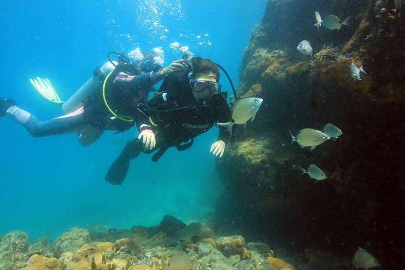 Mergulho em Arraial do Cabo