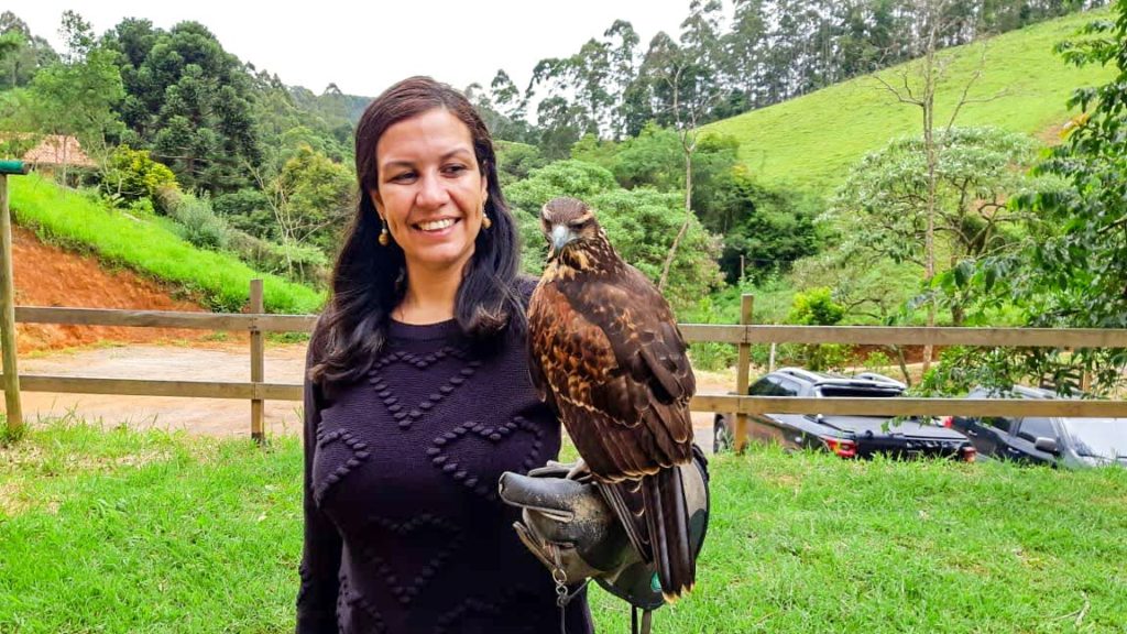 Escola de Falcoaria em Monte Verde