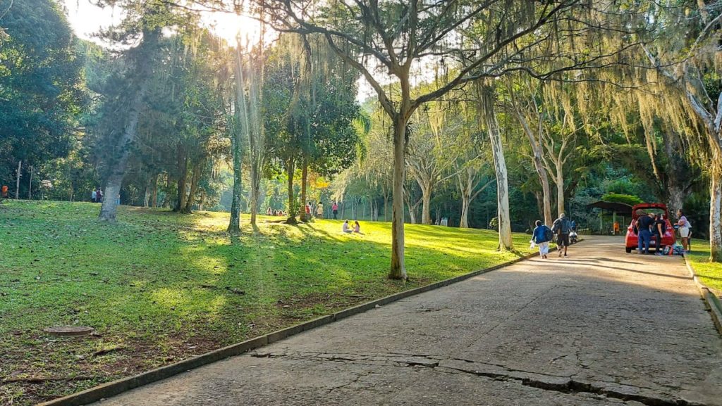 Parque da Cidade, na Gávea