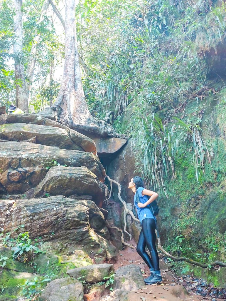 Trilha para a Cachoeira do Chuveiro