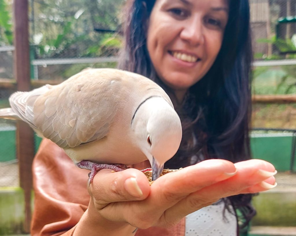 Alimentando as aves na Arca do Noah