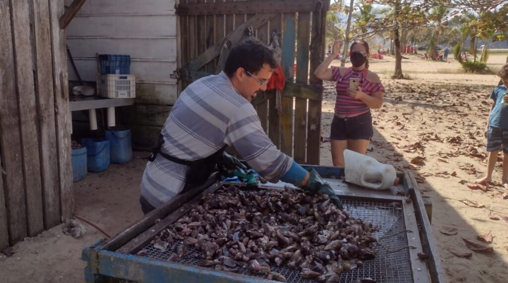 Vila turística de pescadores em Caraguatatuba - SP