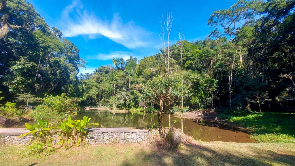 Açude da Solidão na Floresta da Tijuca