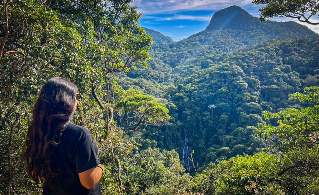 Trilha do Mirante da Cascatinha na Floresta da Tijuca