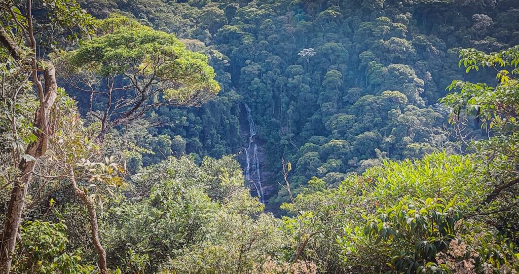 Trilha do Mirante da Cascatinha