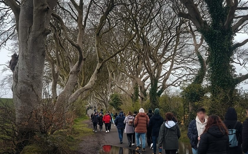 Dark-Hedges, na Irlanda do Norte