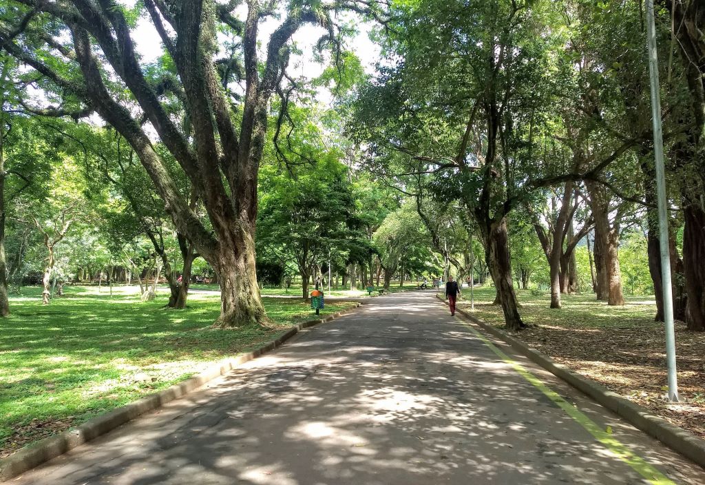 Área externa do Parque Ibirapuera