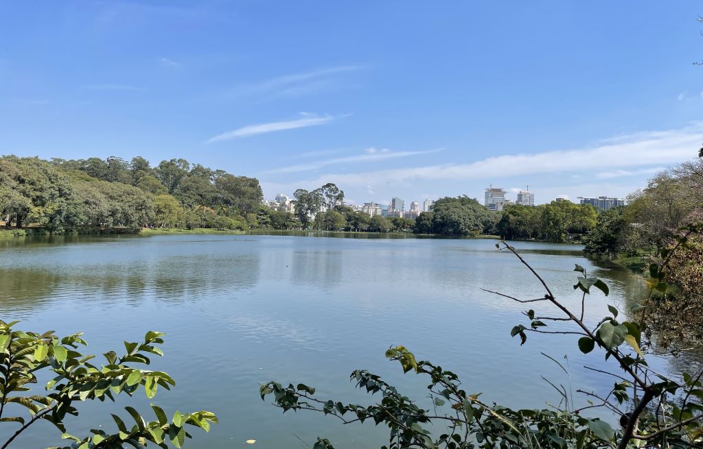 Lago do Ibirapuera