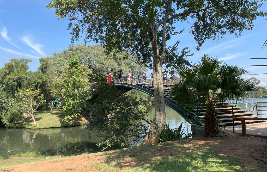 Ponte no Parque do Ibirapuera