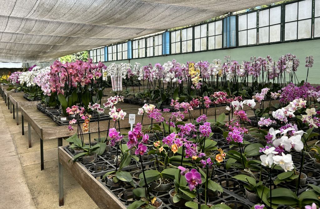 Orquidário Binot