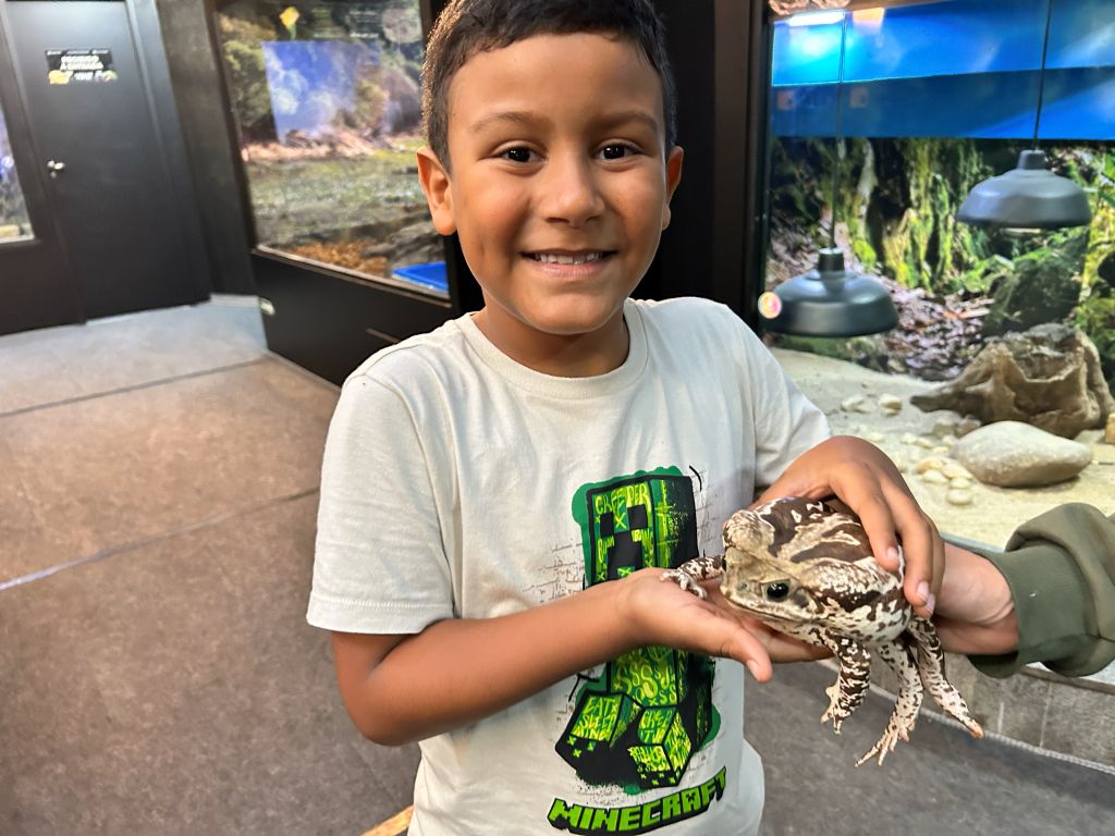 Animais Incríveis