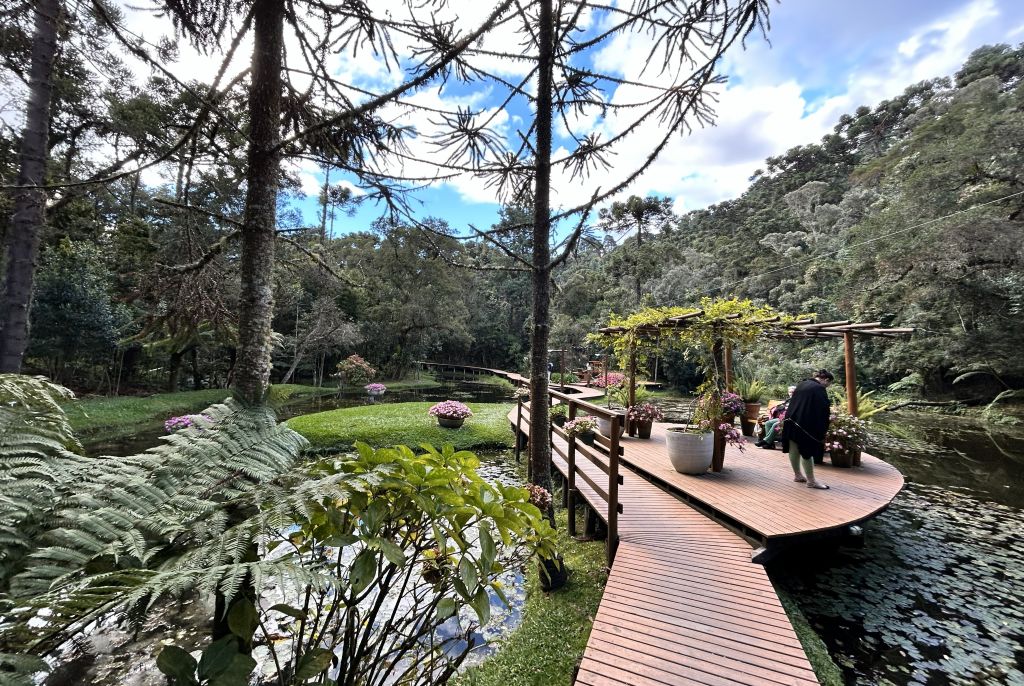 Bosque do Silêncio em Campos do Jordão