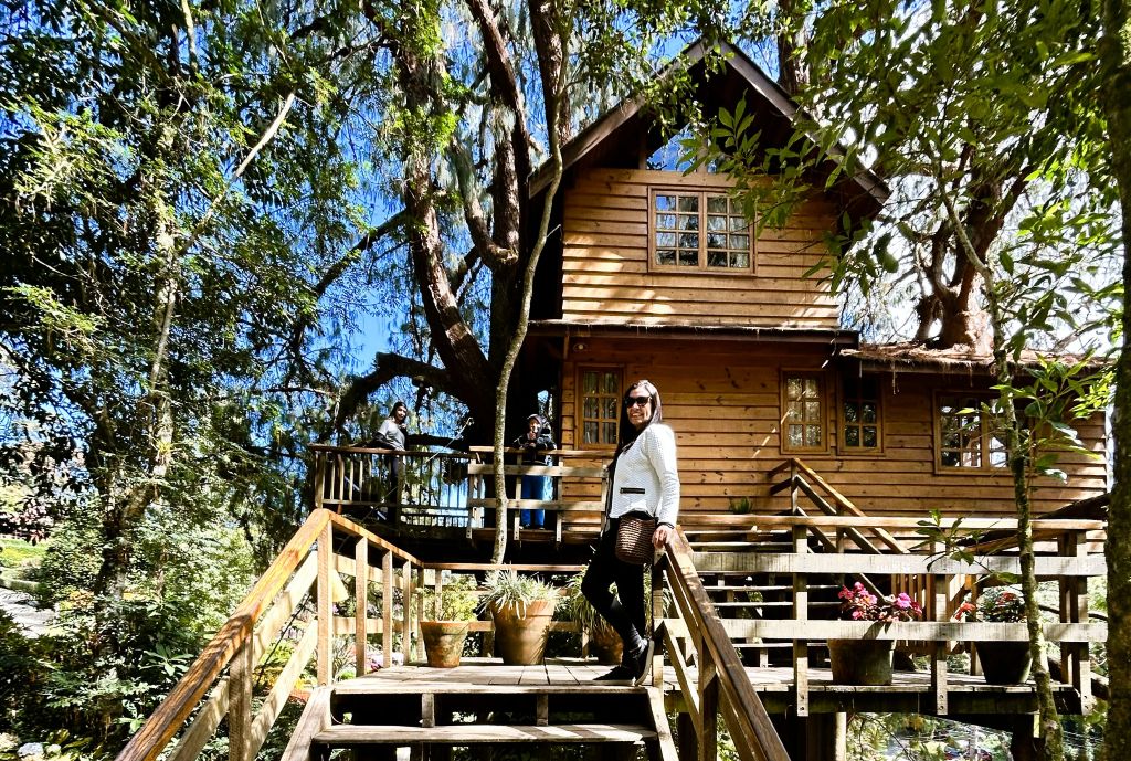 Casa na Árvore - Parque Amantikir