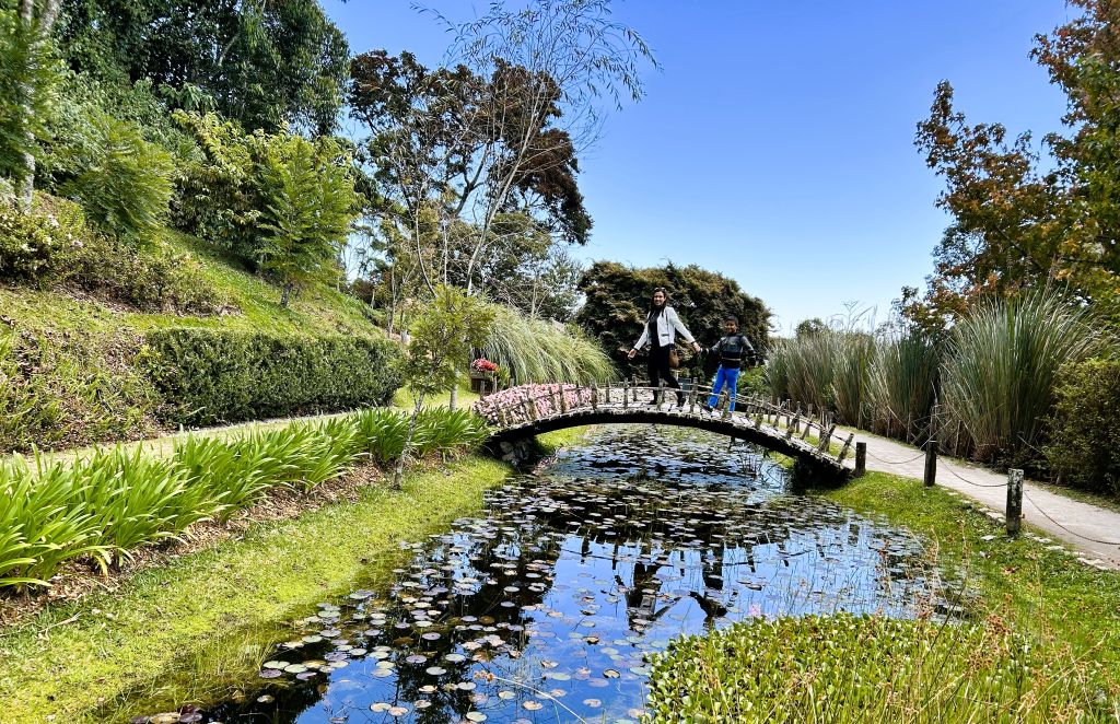 Lago das Pontes no Parque Amantikir