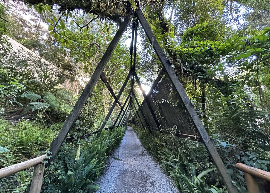 Túnel de Jasmin