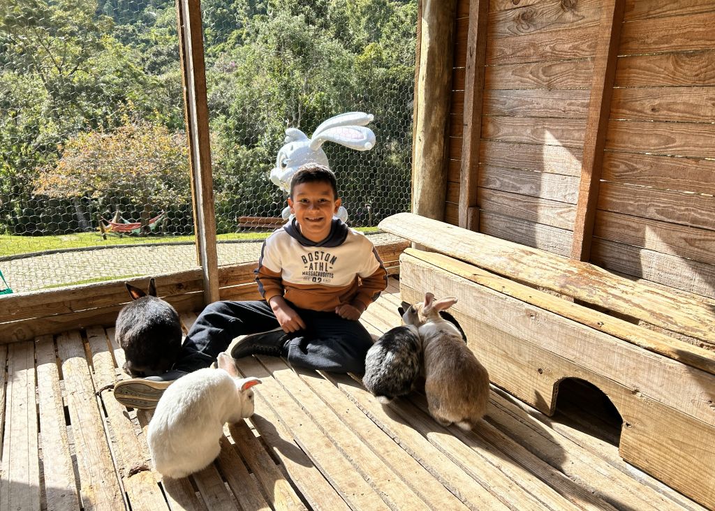 Fazendinha Toriba - Coelhos