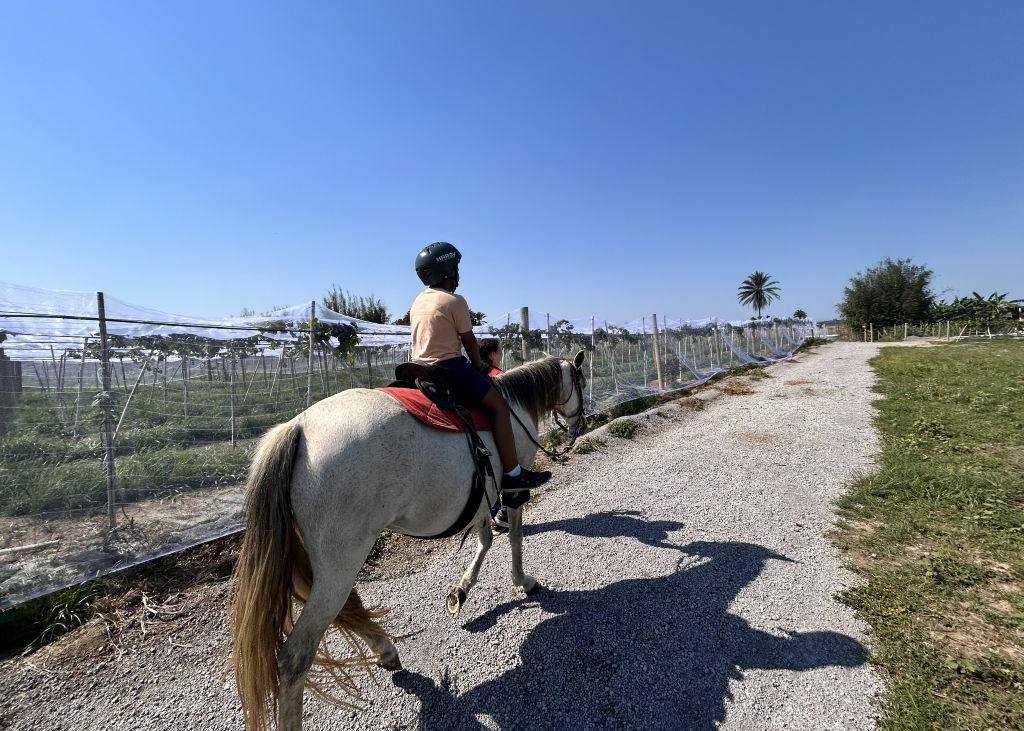 Passeio a cavalo - Ribeiro Cader & Filhos