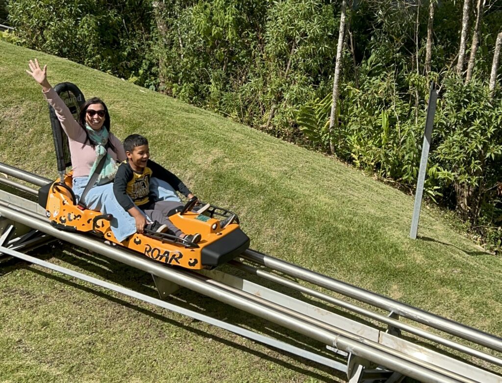 Trenó de Montanha no Parque Capivari