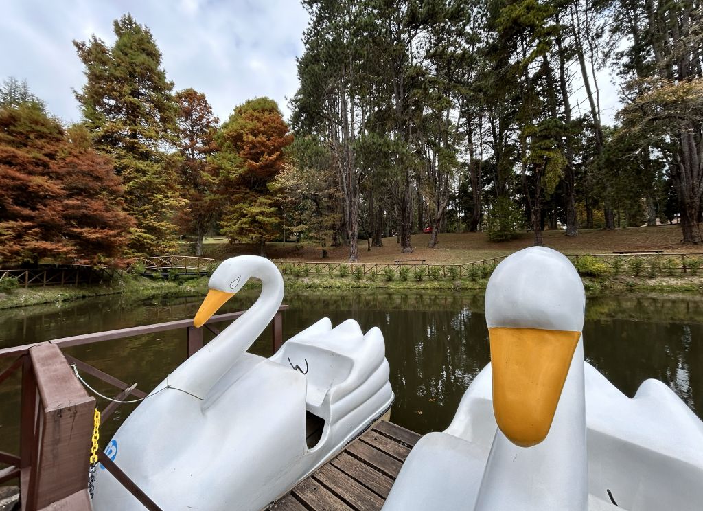Pedalinhos no Horto Florestal em Campos do Jordão